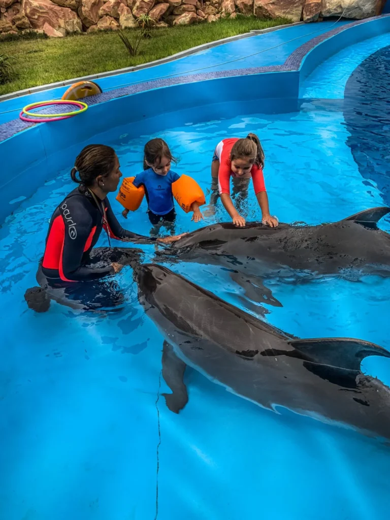 Dolphin-agadir