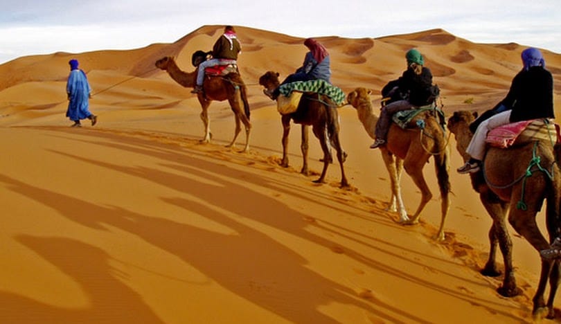 merzougz