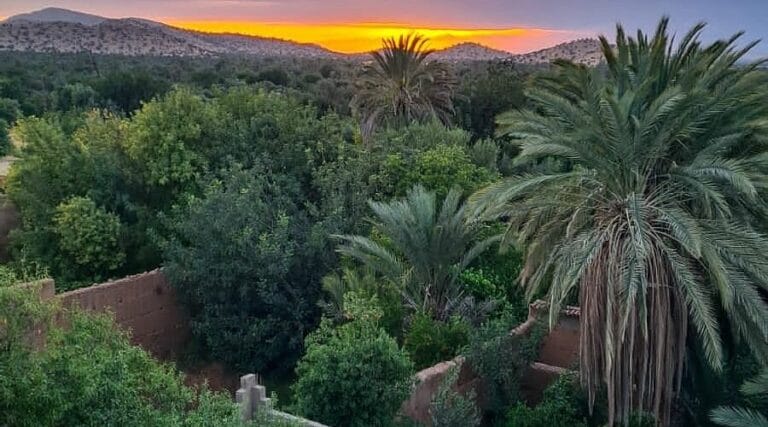 amazing sunset view in tiout oasis near taroudant morocco - between palms and mountains of little atlas
