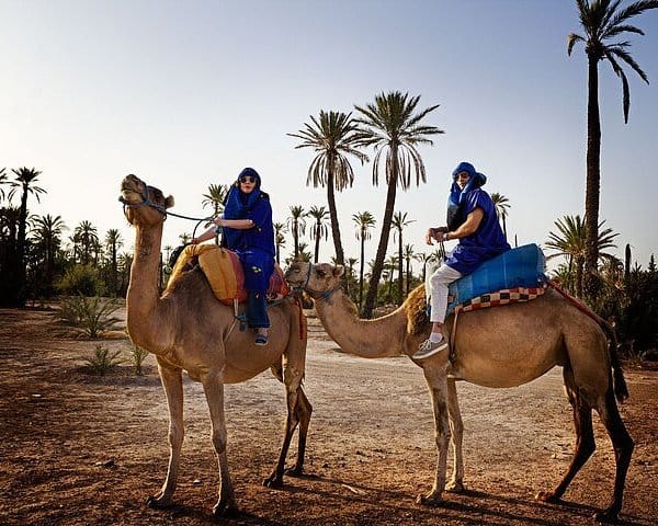camel riging agadir beach