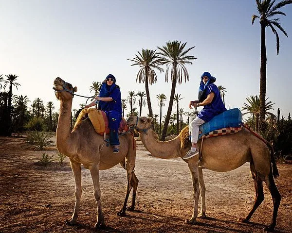 camel riging agadir beach