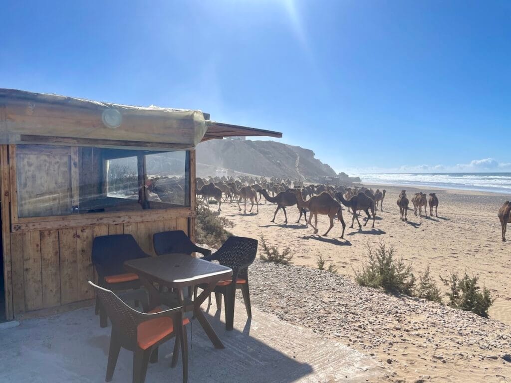 tamri beach restaurant