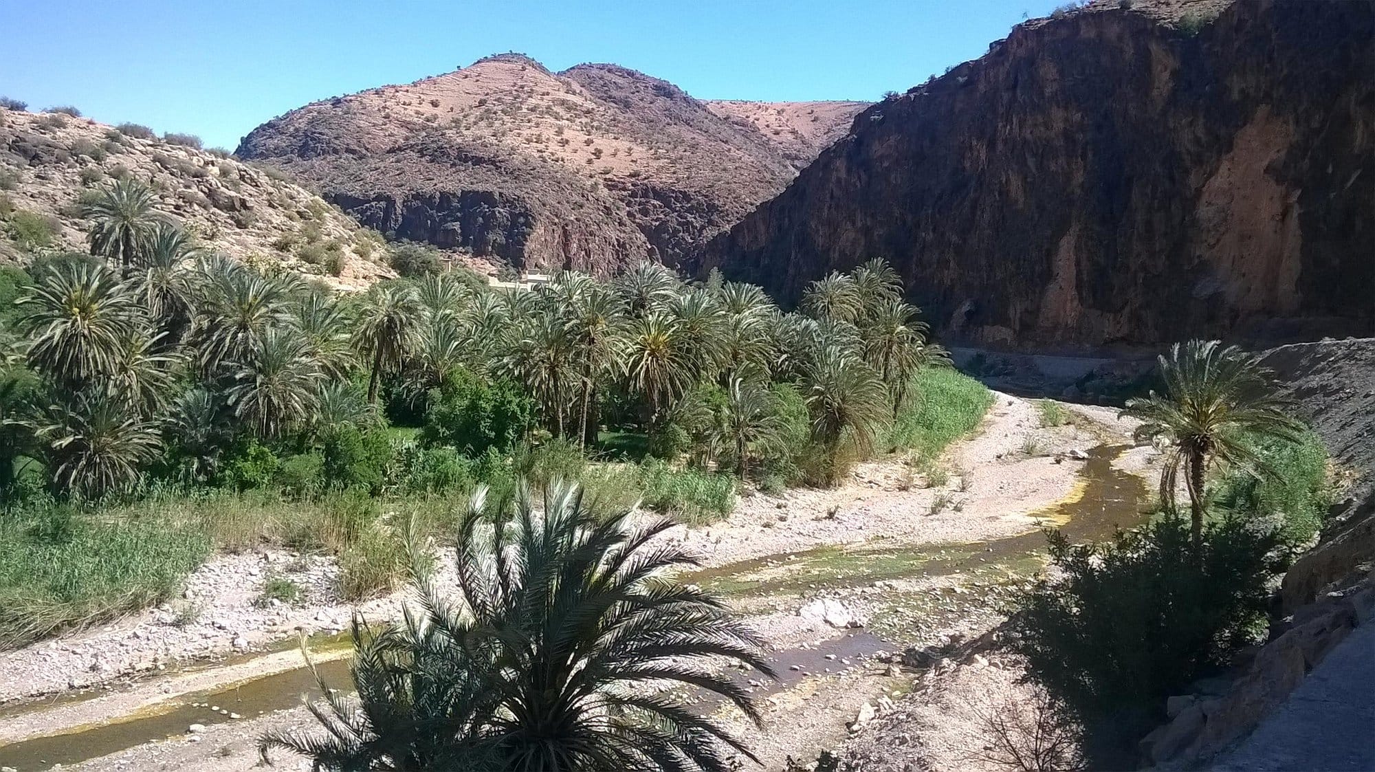 tiout osis valley