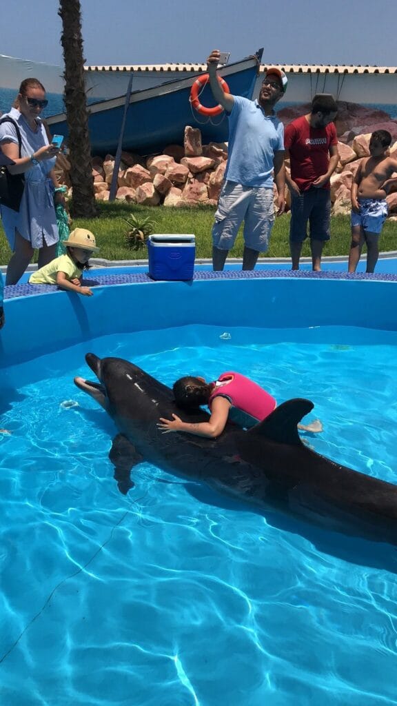 agadir dolphin world a little girl hug dolphin
