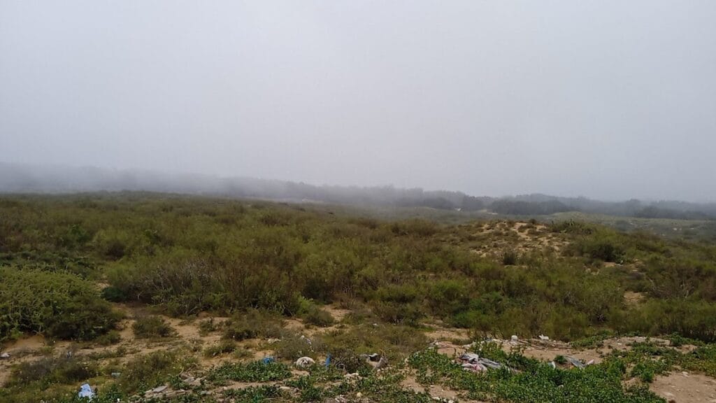 souss massa national park near agadir