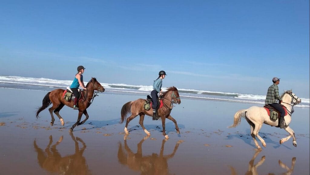a horse riding tours in agadir beach