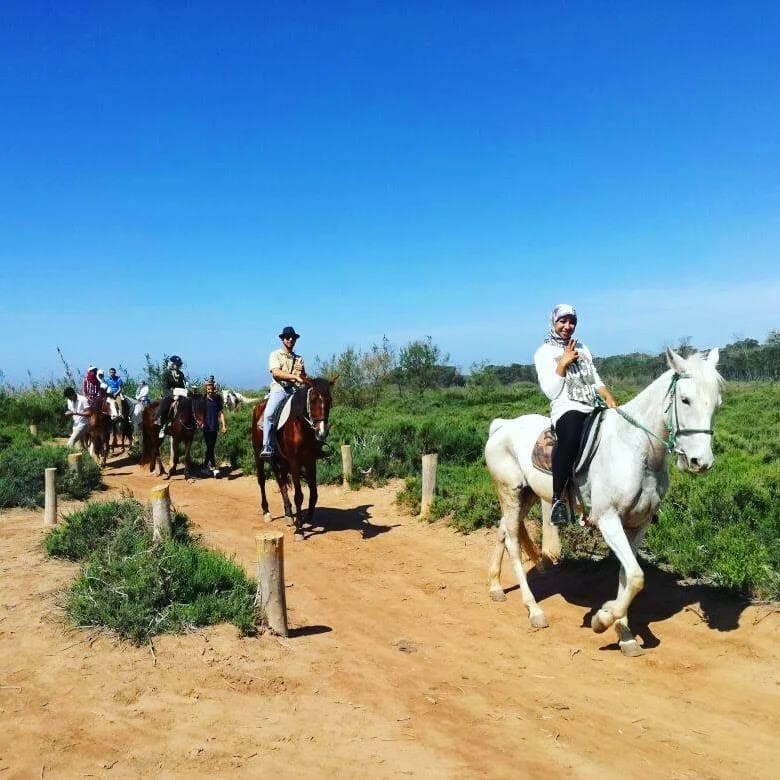 horse riding in agadir tours best views and experiences